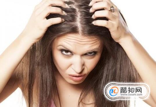 ͷ����������ô���ٳ�����